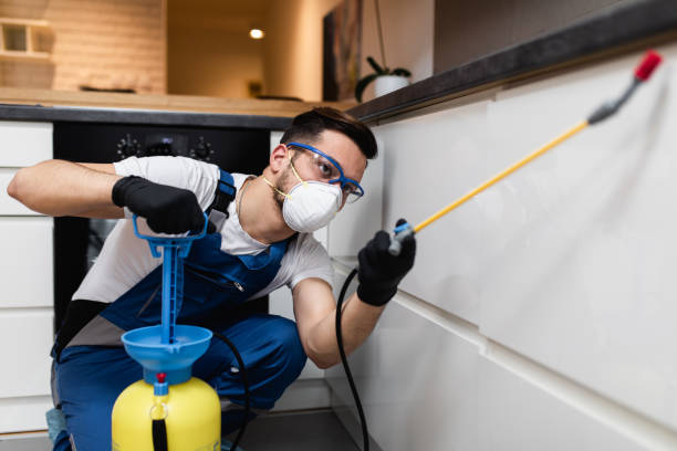  Raleigh, NC Pest Control Pros