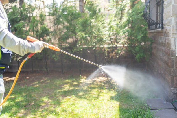Best Spider Control Near Me  in Raleigh, NC