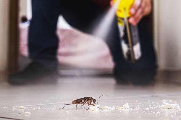 Best Best Pest Control Companies  in Raleigh, NC