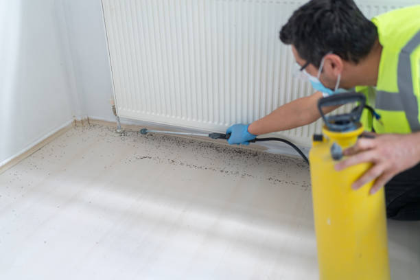 Pest Control Cost in Raleigh, NC